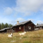 Besök i Hedbodarna, september 2015
