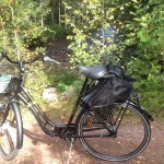 På Tre Björnar kan man hyra cykel.