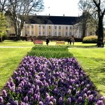Gavnö slott