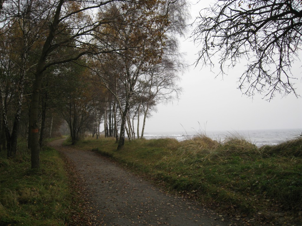 Ystads saltsjöbad, havet, stig, höst