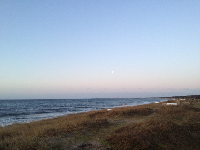 20120113-083313.jpg