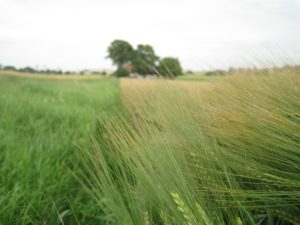 IMG_6162
