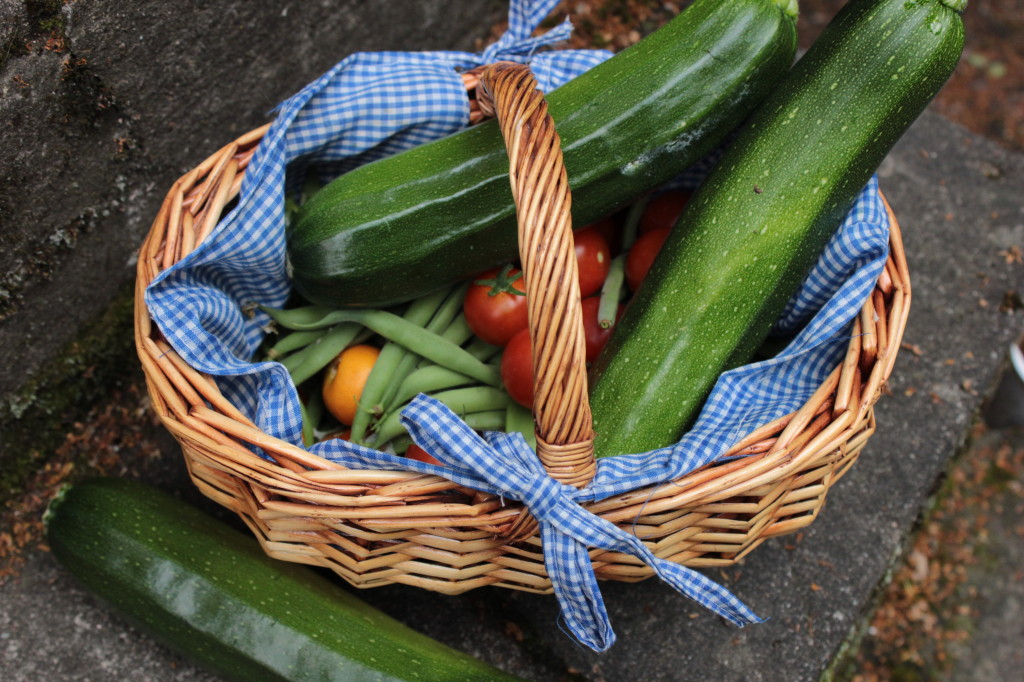 zucchini bönor tomat skörd