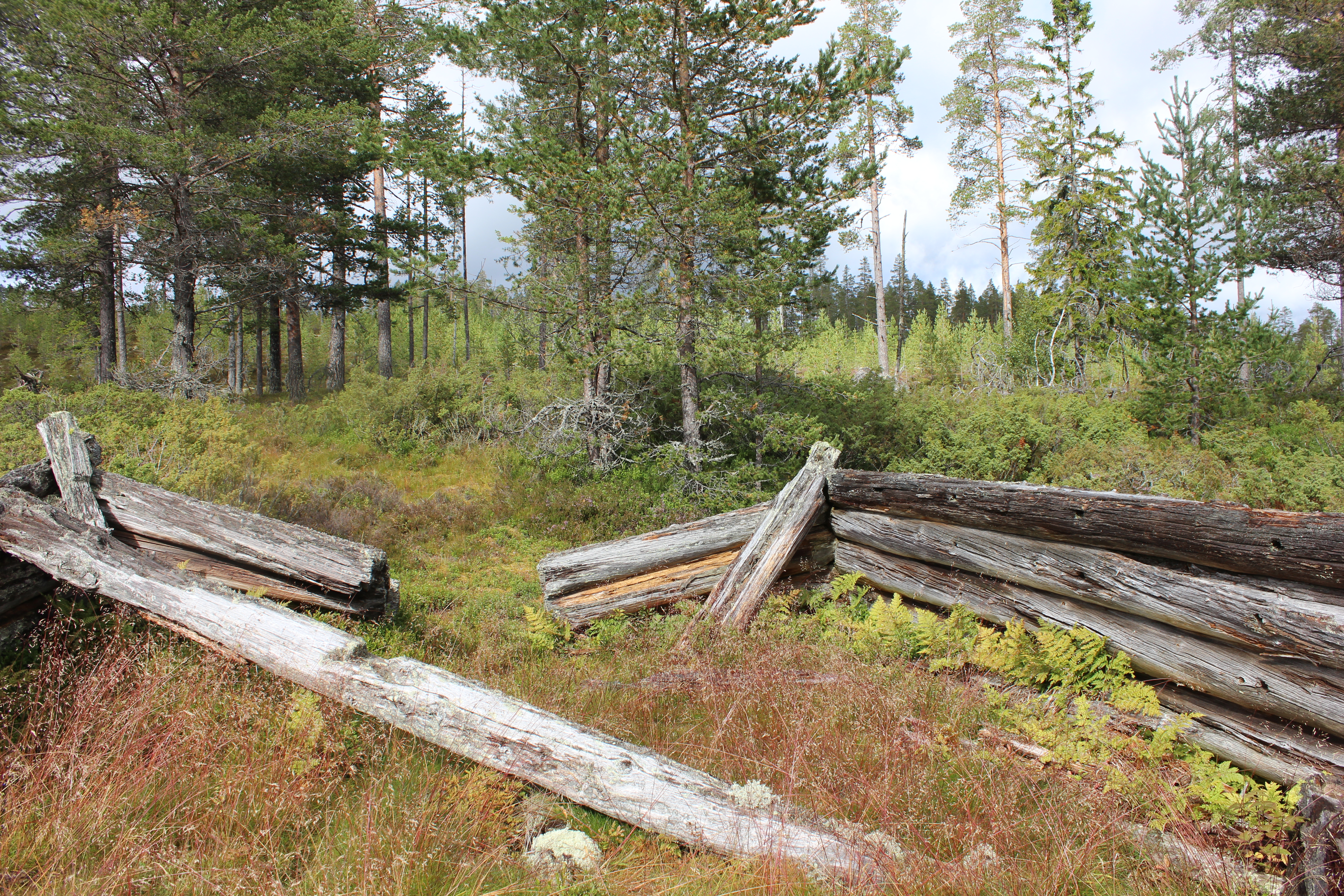 Älvdalen Dalarna fäbodar Slängbodarna