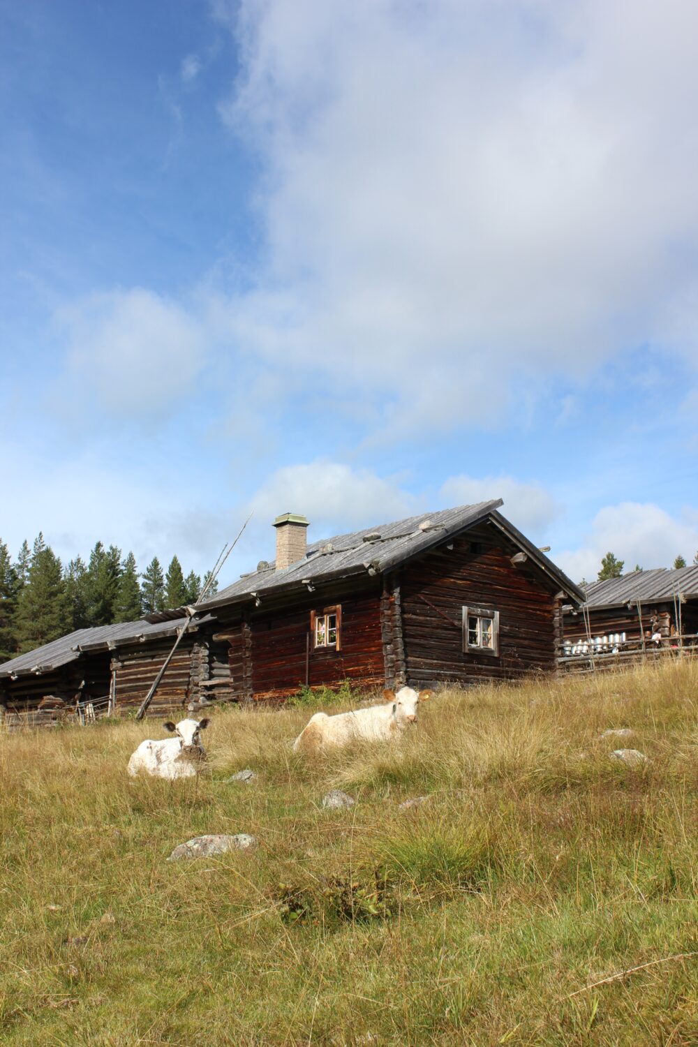 Besök i Hedbodarna, september 2015