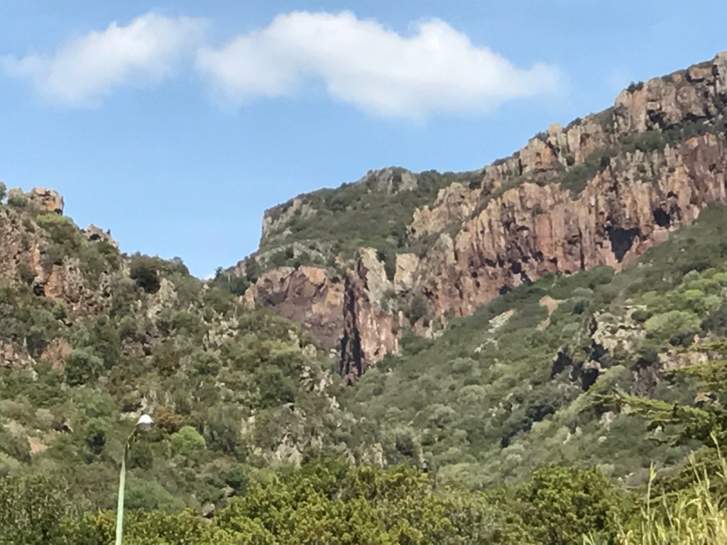 Fredag: Kustvägen Alghero-Bosa: 46 km Slingrande, nästan bilfria, aslfaltsvägar längs havet. Först massor av uppförsbackar - men rullningen ner till Bosa var obeskrivlig. 