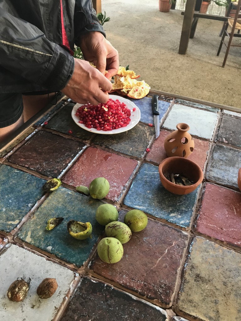 Vi kunde inte fått en bättre frukost. Vindruvor, granatäpple, valnötter, hasselnötter och mandel odlade på gården. Som alltid dricker vi bara vatten till frukost. 