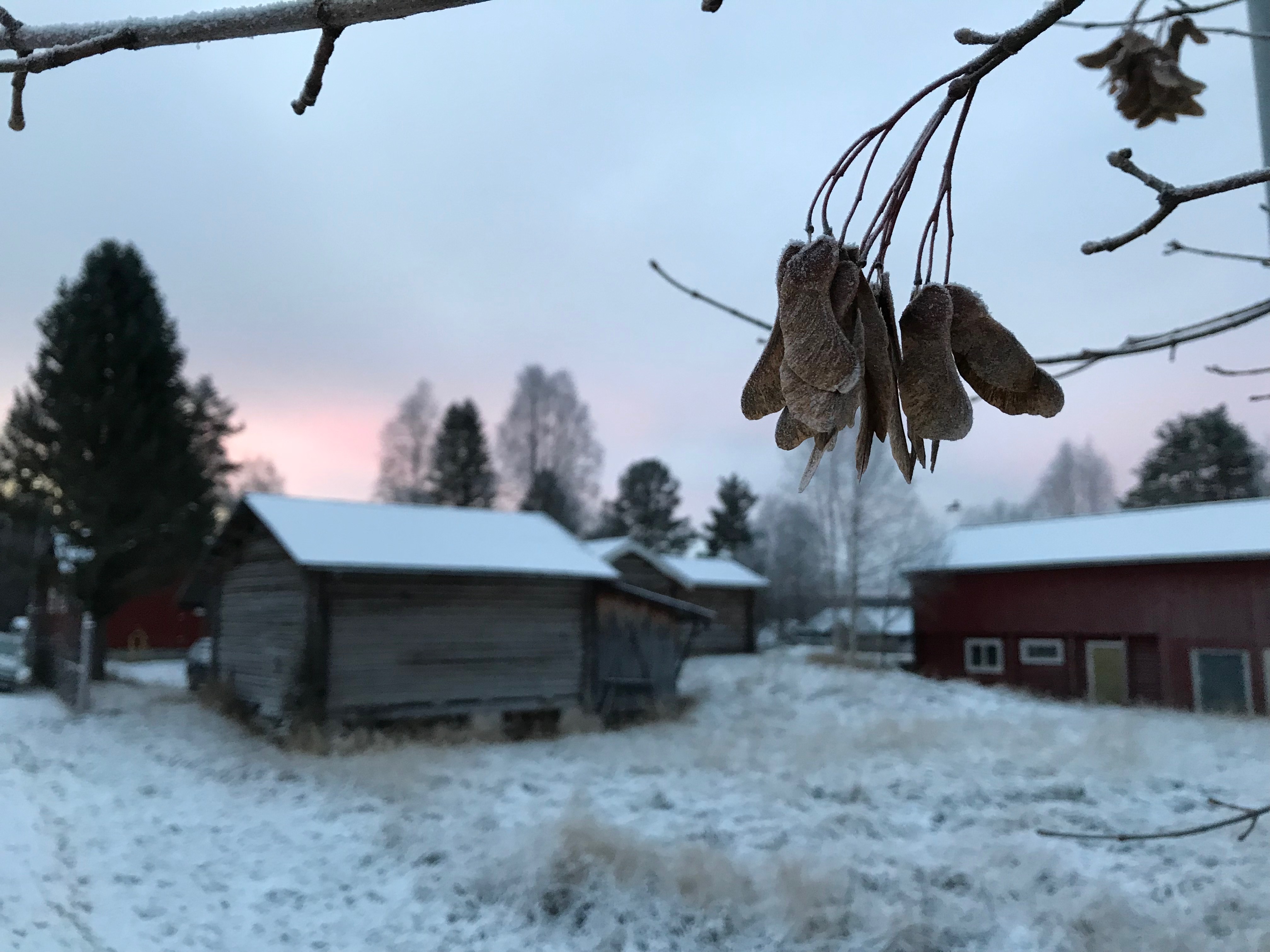 Morgonpromenad i Östermyckeläng