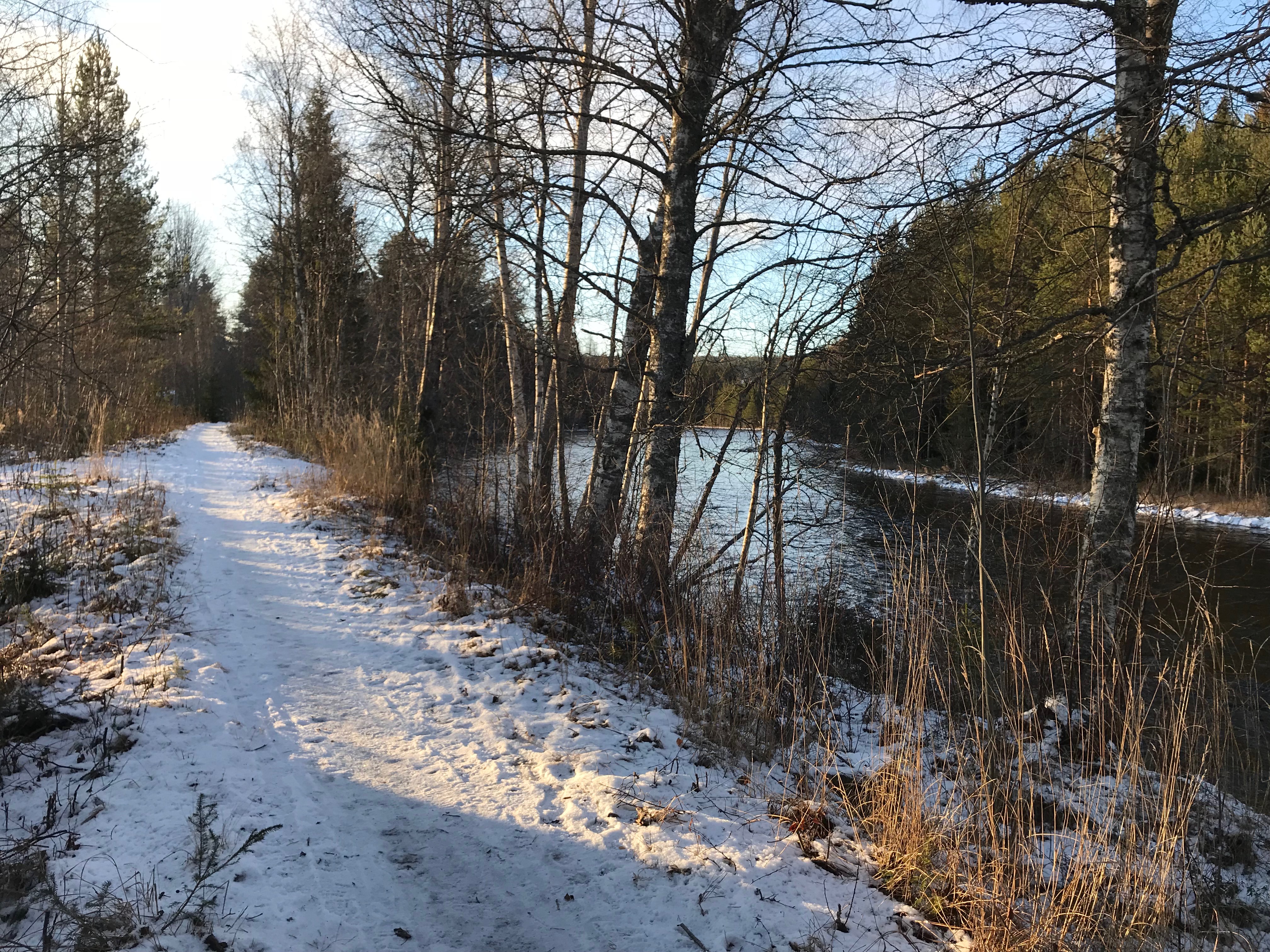 Stigen längs Älven (lättast att hitta från Campingen där den löper åt båda håll.)