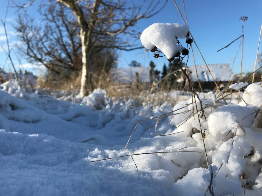 Cykla i snö