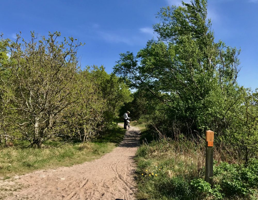 Skåneleden havet viken cykel sven