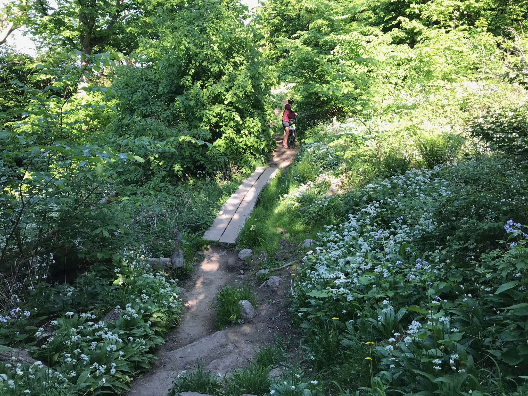 Kullaberg