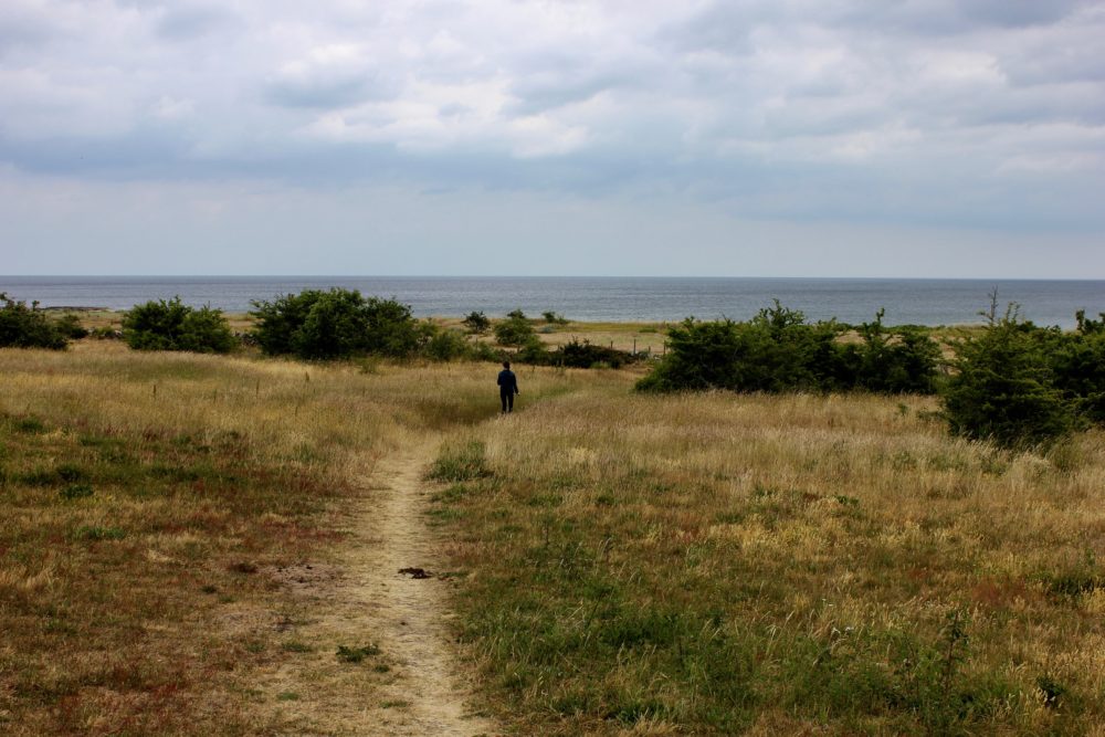 Vårhallarna havet Österlen