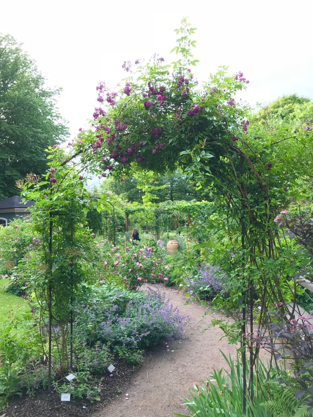 Botaniska trädgården i Göteborg