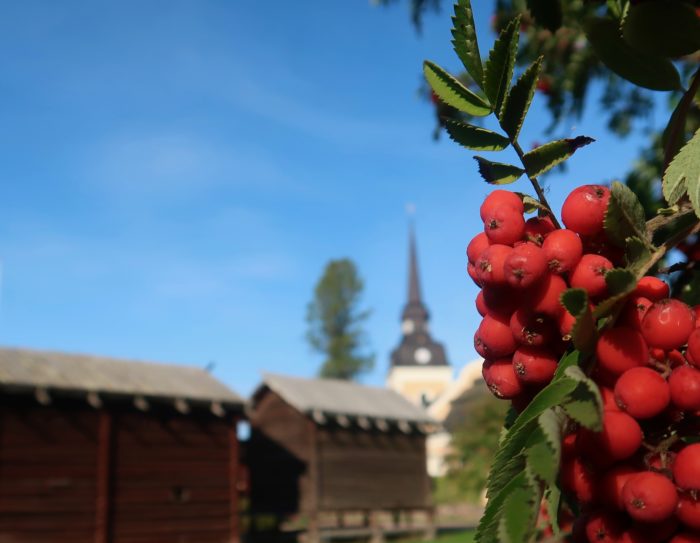 witchcraft trolldom häxprocesser häxa trollkona