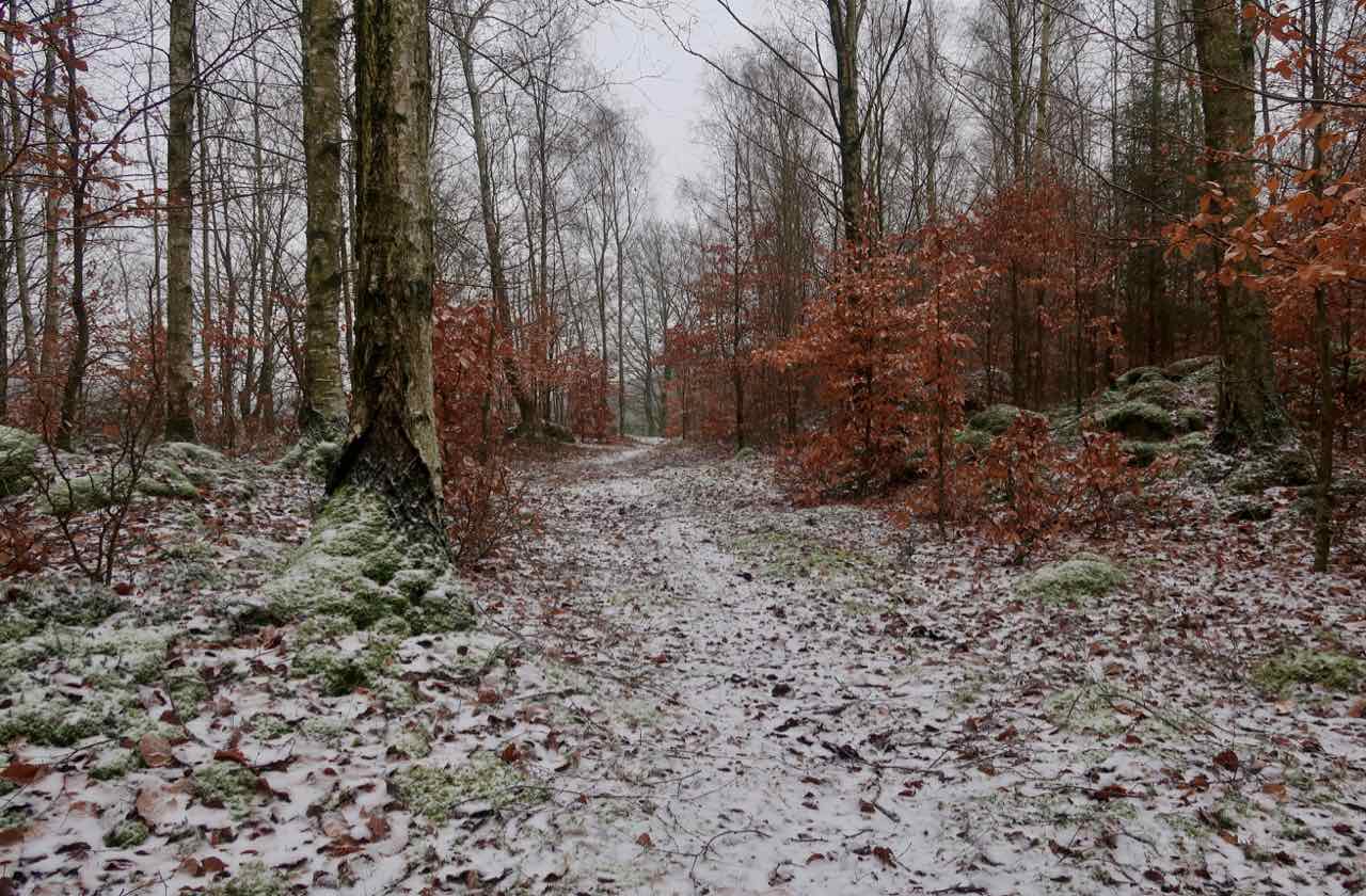 Soffebacken Söderåsen