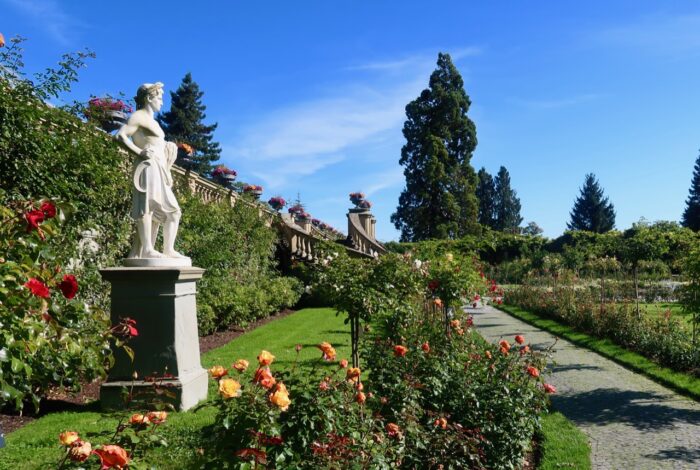 Rosenträdgården rosegarden