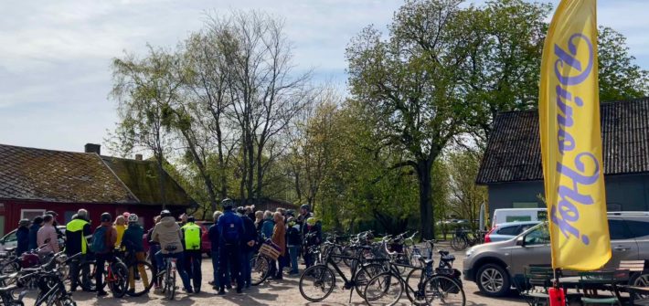 201 miljoner år på 4 timmar med dinosaurietema