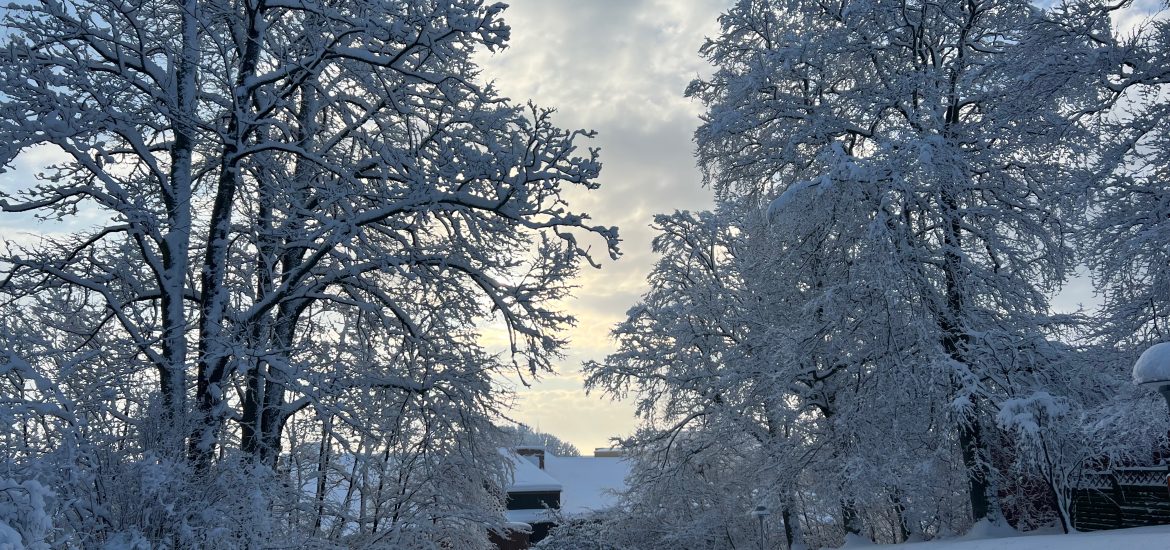 Snö på Parkvillan