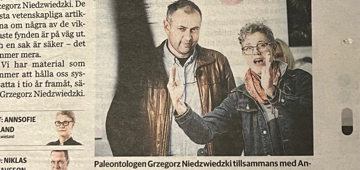 Grzegorz Niedzwiedzki